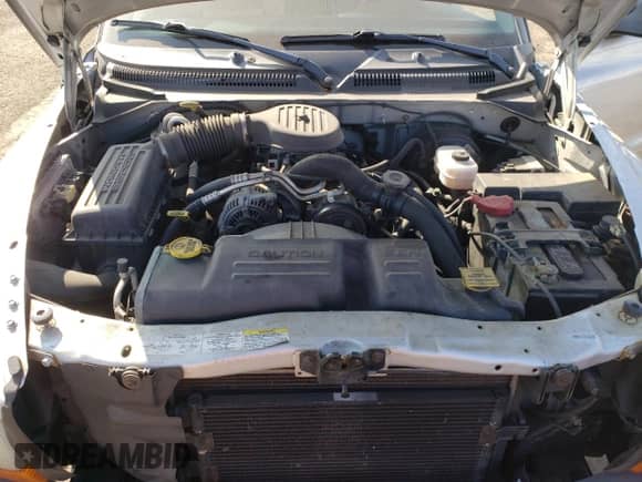 2003 Dodge Dakota с VIN 1D7HG12XX3S334064, выставлен на аукционе Copart как лот 48554465 с пробегом 140 660 миль миль и На запчасти • Non repairable. История ставок и продаж доступна на DreamBid. Изображение 11.