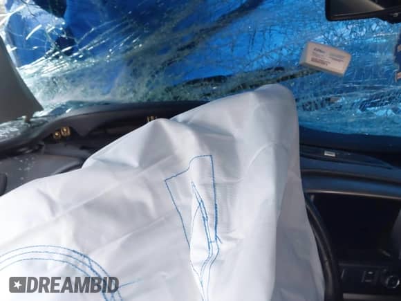 2019 Chevrolet Colorado 4WD Z71 with VIN 1GCPTDE15K1320605, listed as a IAAI auction lot 41354670 with Not provided miles and . Bid and sale history available at DreamBid. Image 7.