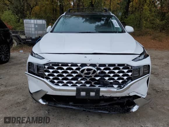 2023 Hyundai Santa Fe Limited с VIN 5NMS5DA16PH011975, выставлен на аукционе Copart как лот 90034375 с пробегом 137 070 миль миль и Чистый • Clean title. История ставок и продаж доступна на DreamBid. Изображение 5.