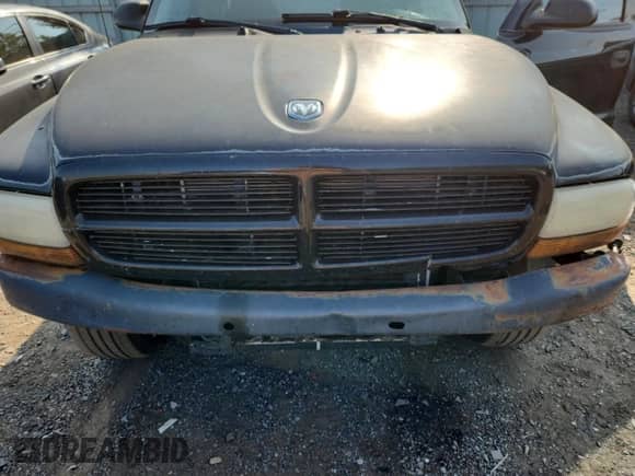 2001 Dodge Dakota with VIN 1B7GG22X91S113726, listed as a Copart auction lot 65792155 with 249,280 mi miles and Salvage title. Bid and sale history available at DreamBid. Image 11.
