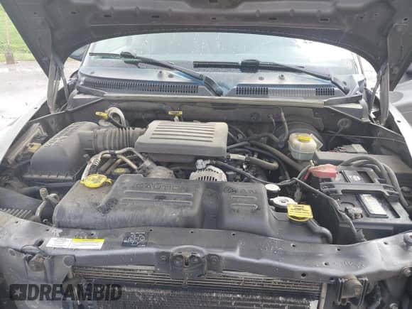 2002 Dodge Dakota SLT with VIN 1B7HG48N82S529449, listed as a IAAI auction lot 42098498 with 275,674 mi miles and . Bid and sale history available at DreamBid. Image 10.