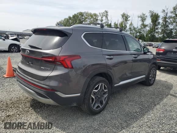 2022 Hyundai Santa Fe Limited with VIN KM8S5DA13NU026886, listed as a Copart auction lot 61783225 with 46,643 mi miles and Salvage title. Bid and sale history available at DreamBid. Image 3.