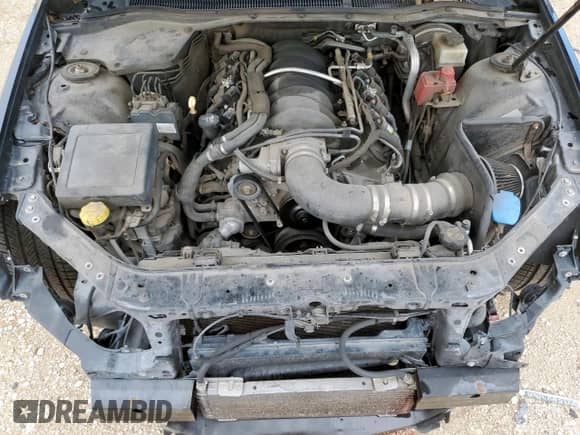 2014 Chevrolet SS с VIN 6G3F15RW6EL938444, выставлен на аукционе Copart как лот 58358065 с пробегом 86 239 миль миль и Списание • Salvage title. История ставок и продаж доступна на DreamBid. Изображение 11.