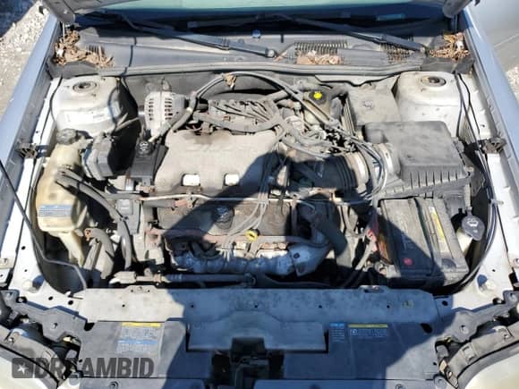 2003 Chevrolet Malibu LS с VIN 1G1NE52J93M529026, выставлен на аукционе Copart как лот 73093984 с пробегом 179 632 миль миль и Списание • Salvage title. История ставок и продаж доступна на DreamBid. Изображение 11.