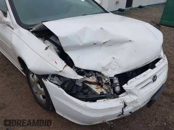 2001 Honda Accord EX with VIN 1HGCG32521A007029, listed as a IAAI auction lot 40910563 with 83,328 mi miles and . Bid and sale history available at DreamBid. Image 6.