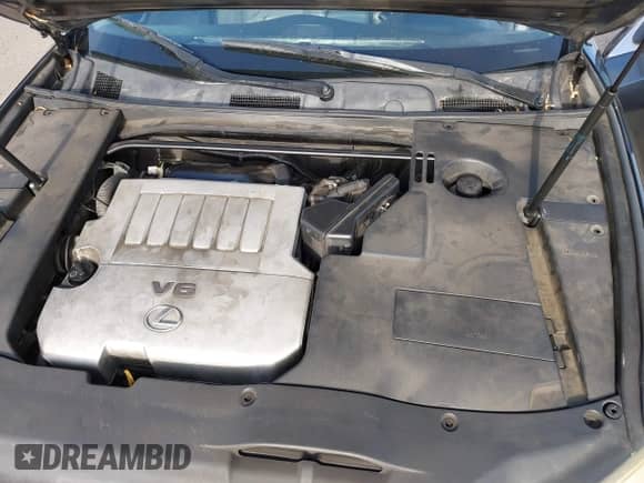 2007 Lexus ES 330 с VIN JTHBJ46G772104368, выставлен на аукционе IAAI как лот 43120288 с пробегом 203 771 миль миль и . История ставок и продаж доступна на DreamBid. Изображение 10.