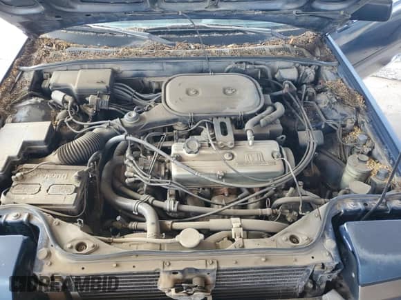 1986 Honda Accord с VIN JHMBA532XGC017525, выставлен на аукционе Copart как лот 69079264 с пробегом 143 898 миль миль и Чистый • Clean title. История ставок и продаж доступна на DreamBid. Изображение 11.