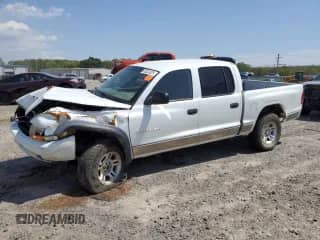 2002 Dodge Dakota SLT with VIN 1B7HG48N12S551650, listed as a Copart auction lot 49324025 with 183,653 mi miles and Salvage title. Bid and sale history available at DreamBid. Image 1.
