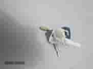 1997 Dodge 1500 с VIN 1B7HC16X7VS119664, выставлен на аукционе IAAI как лот 42973576 с пробегом 141 686 миль миль и . История ставок и продаж доступна на DreamBid. Изображение 11.