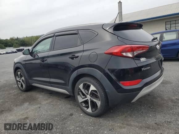 2017 Hyundai Tucson Eco с VIN KM8J3CA28HU280196, выставлен на аукционе Copart как лот 84703225 с пробегом 123 832 миль миль и Чистый • Clean title. История ставок и продаж доступна на DreamBid. Изображение 2.