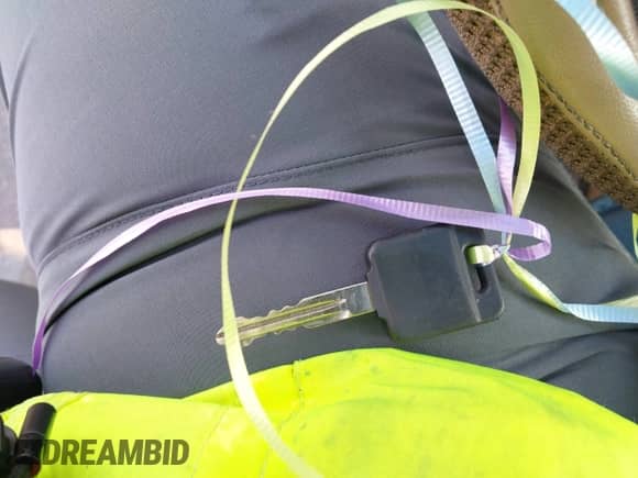 2005 Nissan Pathfinder SE z VIN 5N1AR18U85C757639, wystawiony jako IAAI lot #42373805 z przebiegiem 292 643 mil mil oraz . Historia ofert i sprzedaży dostępna na DreamBid. Obrazek 11.