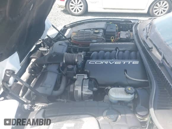 1999 Chevrolet Corvette with VIN 1G1YY32G5X5103587, listed as a IAAI auction lot 42532152 with Not provided miles and . Bid and sale history available at DreamBid. Image 10.