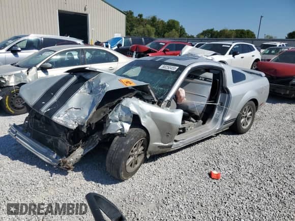 2006 Ford Mustang Standard с VIN 1ZVFT80N865193731, выставлен на аукционе Copart как лот 80250455 с пробегом Не указан миль и Списание • Salvage title. История ставок и продаж доступна на DreamBid. Изображение 1.