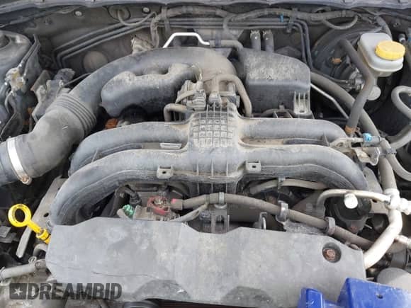 2016 Subaru Forester Touring with VIN JF2SJAVC3GH437843, listed as a IAAI auction lot 43295464 with 204,260 mi miles and . Bid and sale history available at DreamBid. Image 10.