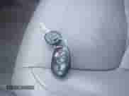 2004 Toyota Sienna XLE z VIN 5TDZA22C44S131961, wystawiony jako IAAI lot #43266500 z przebiegiem 177 567 mil mil oraz . Historia ofert i sprzedaży dostępna na DreamBid. Obrazek 11.