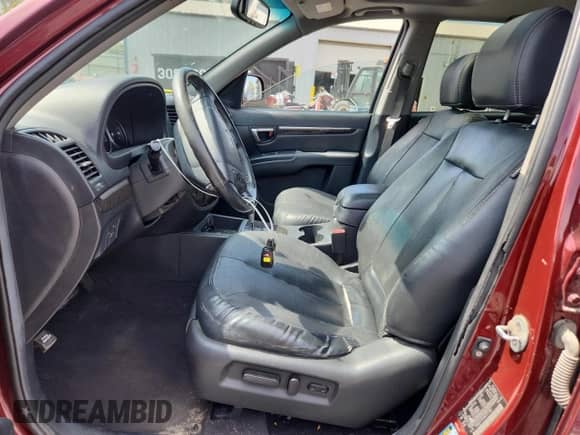 2009 Hyundai Santa Fe Limited with VIN 5NMSH13E49H271784, listed as a Copart auction lot 80131995 with 187,933 mi miles and Salvage title. Bid and sale history available at DreamBid. Image 7.