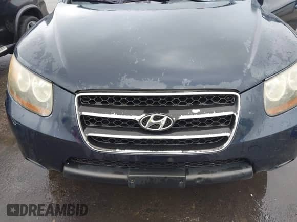 2007 Hyundai Santa Fe SE с VIN 5NMSH13E97H024323, выставлен на аукционе IAAI как лот 43403893 с пробегом 265 931 миль миль и . История ставок и продаж доступна на DreamBid. Изображение 6.