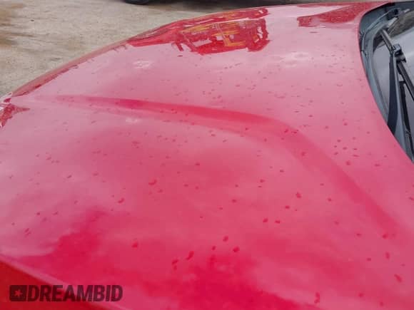 2020 Hyundai Santa Fe Limited with VIN 5NMS53AA4LH234665, listed as a IAAI auction lot 42524827 with 47,185 mi miles and . Bid and sale history available at DreamBid. Image 6.