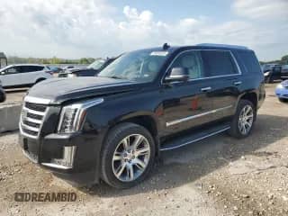 2016 Cadillac Escalade Luxury Collection with VIN 1GYS4BKJ6GR443218, listed as a Copart auction lot 69060525 with 115,667 mi miles and Salvage title. Bid and sale history available at DreamBid. Image 1.
