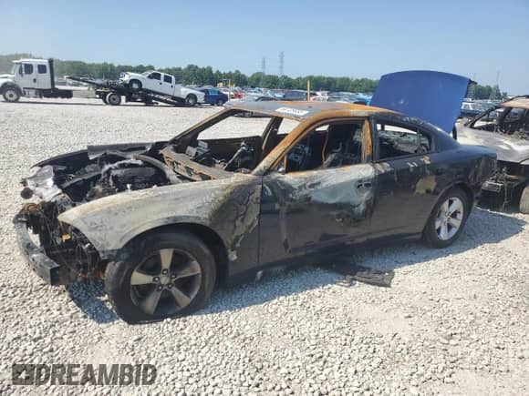 2014 Dodge Charger SE with VIN 2C3CDXBG7EH191959, listed as a Copart auction lot 58728685 with Not provided miles and Non repairable. Bid and sale history available at DreamBid. Image 1.