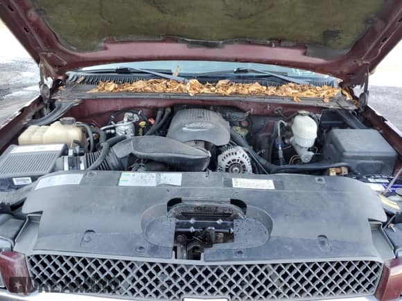 2003 Chevrolet Silverado 1500HD LS с VIN 1GCGK13U23F144244, выставлен на аукционе Copart как лот 85417294 с пробегом Не указан миль и Чистый • Clean title. История ставок и продаж доступна на DreamBid. Изображение 11.