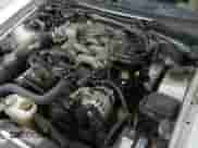 2001 Ford Mustang Standard with VIN 1FAFP40411F111810, listed as a IAAI auction lot 42191705 with 180,413 mi miles and . Bid and sale history available at DreamBid. Image 15.