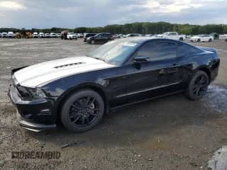 2014 Ford Mustang GT z VIN 1ZVBP8CFXE5262702, wystawiony jako Copart lot #67879725 z przebiegiem 59 823 mil mil oraz Czysty tytuł • Clean title. Historia ofert i sprzedaży dostępna na DreamBid. Obrazek 1.