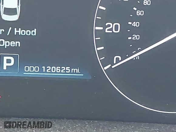 2014 Hyundai Equus Signature with VIN KMHGH4JH1EU084554, listed as a IAAI auction lot 43280780 with 120,625 mi miles and . Bid and sale history available at DreamBid. Image 15.