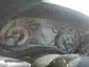 2022 Ram 1500 Limited z VIN 1C6SRFHT4NN191763, wystawiony jako Copart lot #53445265 z przebiegiem Nie podano mil oraz Szkoda całkowita • Salvage title. Historia ofert i sprzedaży dostępna na DreamBid. Obrazek 9.