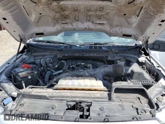 2021 Ford F-150 XL с VIN 1FTEW1CP3MKD30888, выставлен на аукционе Copart как лот 70834225 с пробегом 125 042 миль миль и Списание • Salvage title. История ставок и продаж доступна на DreamBid. Изображение 11.