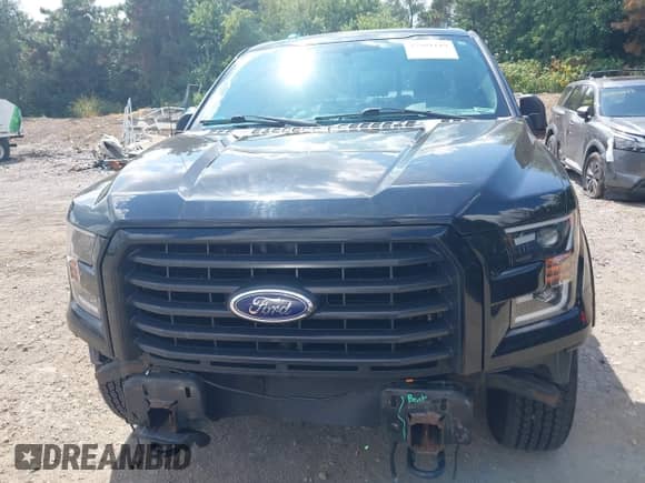 2016 Ford F-150 XLT z VIN 1FTEW1EFXGFC91668, wystawiony jako IAAI lot #42981119 z przebiegiem 109 581 mil mil oraz . Historia ofert i sprzedaży dostępna na DreamBid. Obrazek 13.