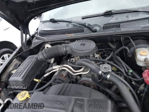2002 Dodge Dakota with VIN 1B7GG32X22S634407, listed as a IAAI auction lot 41891953 with 222,595 mi miles and . Bid and sale history available at DreamBid. Image 10.
