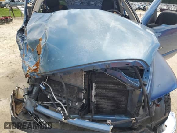 2002 Dodge 1500 z VIN 1D7HA16KX2J196417, wystawiony jako Copart lot #65429685 z przebiegiem 150 719 mil mil oraz Nie do naprawy • Non repairable. Historia ofert i sprzedaży dostępna na DreamBid. Obrazek 11.