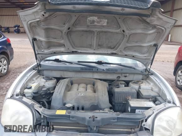 2003 Hyundai Santa Fe GLS with VIN KM8SC13D53U445931, listed as a IAAI auction lot 42453079 with 216,089 mi miles and . Bid and sale history available at DreamBid. Image 10.