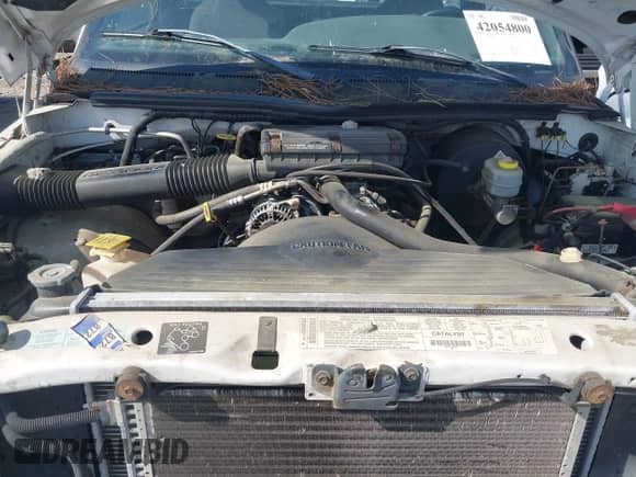 2001 Dodge 1500 Work Special z VIN 1B7HC16X51S235925, wystawiony jako IAAI lot #42054800 z przebiegiem 269 112 mil mil oraz . Historia ofert i sprzedaży dostępna na DreamBid. Obrazek 10.