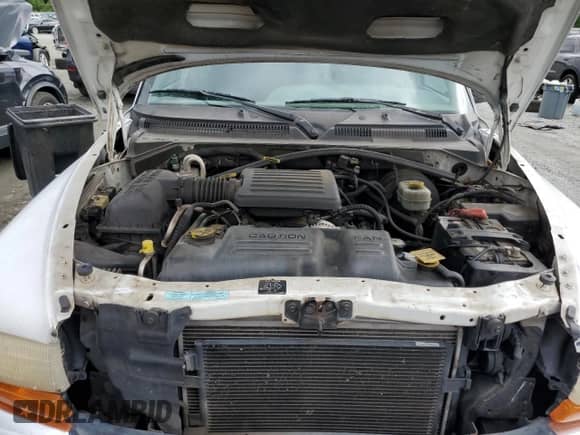 2000 Dodge Dakota Sport with VIN 1B7GL22N1YS758889, listed as a Copart auction lot 59885015 with 231,228 mi miles and Salvage title. Bid and sale history available at DreamBid. Image 11.