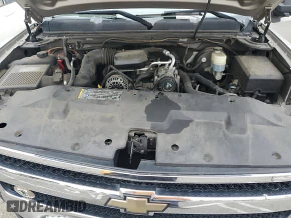 2009 Chevrolet Silverado 1500 Work Truck with VIN 1GCEC14X29Z221991, listed as a Copart auction lot 53161025 with 164,426 mi miles and Salvage title. Bid and sale history available at DreamBid. Image 11.