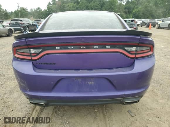 2018 Dodge Charger SXT with VIN 2C3CDXBG6JH284983, listed as a Copart auction lot 69311005 with Not provided miles and Salvage title. Bid and sale history available at DreamBid. Image 6.