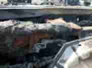 2016 Ford Mustang V6 z VIN 1FA6P8AMXG5296072, wystawiony jako Copart lot #84625875 z przebiegiem Nie podano mil oraz Nie do naprawy • Non repairable. Historia ofert i sprzedaży dostępna na DreamBid. Obrazek 9.