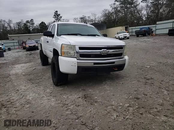 2009 Chevrolet Silverado 1500 LS with VIN 1GCEK19CX9Z271871, listed as a Copart auction lot 88402645 with 232,975 mi miles and Salvage title. Bid and sale history available at DreamBid. Image 10.