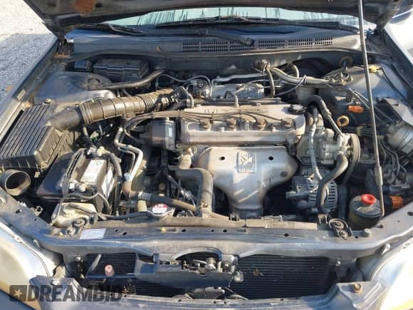 1998 Honda Accord EX with VIN 1HGCG5651WA188962, listed as a IAAI auction lot 42633620 with 341,982 mi miles and . Bid and sale history available at DreamBid. Image 10.