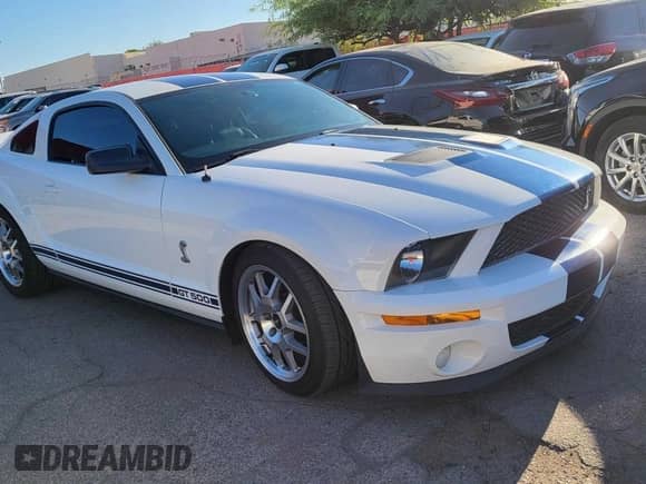 2009 Ford Mustang Shelby GT500 с VIN 1ZVHT88S395134593, выставлен на аукционе Copart как лот 62347965 с пробегом 48 924 миль миль и Чистый • Clean title. История ставок и продаж доступна на DreamBid. Изображение 1.