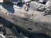 2009 Dodge Dakota SXT с VIN 1D7HE38K59S719263, выставлен на аукционе IAAI как лот 40661314 с пробегом Не указан миль и . История ставок и продаж доступна на DreamBid. Изображение 9.