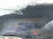 1997 Dodge 1500 с VIN 3B7HF13YXVG791794, выставлен на аукционе IAAI как лот 42444380 с пробегом 224 997 миль миль и . История ставок и продаж доступна на DreamBid. Изображение 7.