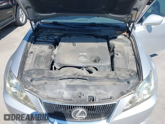 2008 Lexus IS 250 с VIN JTHBK262985070598, выставлен на аукционе IAAI как лот 43139915 с пробегом 138 923 миль миль и . История ставок и продаж доступна на DreamBid. Изображение 10.