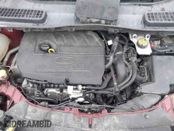 2017 Ford Escape Titanium с VIN 1FMCU9JD9HUC09244, выставлен на аукционе IAAI как лот 41213880 с пробегом 117 338 миль миль и . История ставок и продаж доступна на DreamBid. Изображение 10.