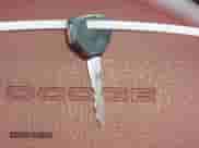 1993 Dodge Dakota S с VIN 1B7FL26X9PS101795, выставлен на аукционе IAAI как лот 41745547 с пробегом 84 172 миль миль и . История ставок и продаж доступна на DreamBid. Изображение 11.