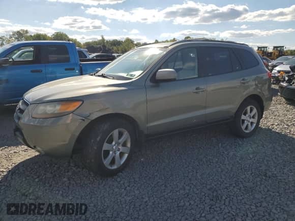 2007 Hyundai Santa Fe SE with VIN 5NMSH73E47H109184, listed as a Copart auction lot 80096835 with 143,668 mi miles and Salvage title. Bid and sale history available at DreamBid. Image 1.