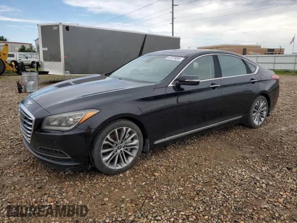 2015 Hyundai Genesis 3.8L with VIN KMHGN4JE3FU064743, listed as a Copart auction lot 67079095 with 172,923 mi miles and Clean title. Bid and sale history available at DreamBid. Image 1.
