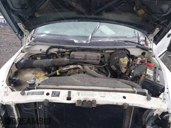 1998 Dodge 1500 with VIN 1B7HF16Y6WS574166, listed as a IAAI auction lot 41791541 with 156,411 mi miles and . Bid and sale history available at DreamBid. Image 10.